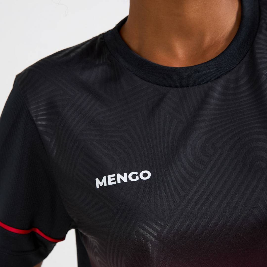 BRZ-FLA-CANASTRA -6-